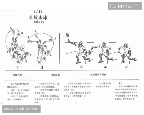 王娜独家揭秘羽毛球技巧与训练心得助你提升球技的秘诀