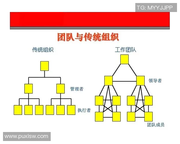 赛后复盘：西安篮球队与深圳篮球队的团队协作与战术分析探讨