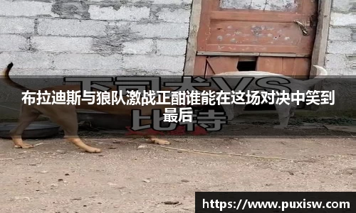 爱游戏ayx