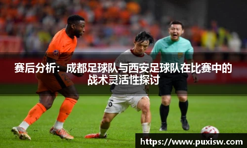 星空·综合体育中国官网